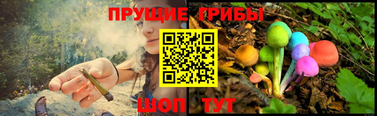 сколько стоит  Вход с VPN  Кузнецк  Псилоцибиновые грибы MAGIC MUSHROOMS 