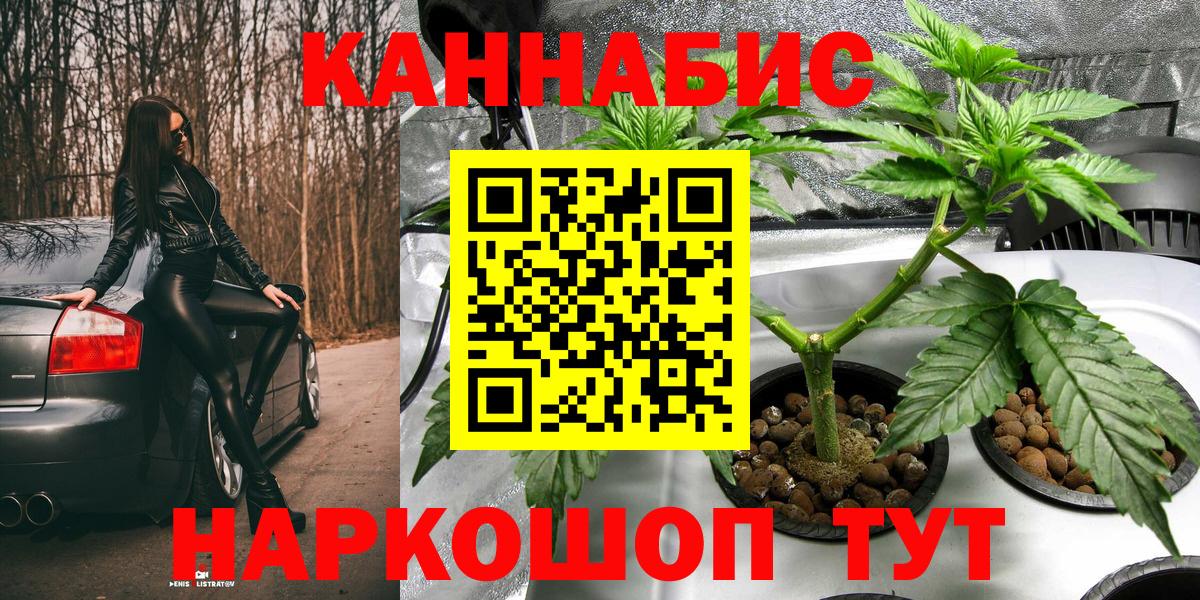 Шишки марихуана White Widow  Вход с VPN  Конопля SATIVA & INDICA  Кузнецк  Каннабис OG Kush  МАРИХУАНА сатива 